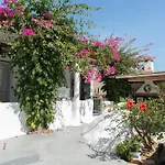 Sunrock - Jasmine
