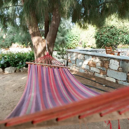Sunrock - Jasmine * Stelida (Naxos)