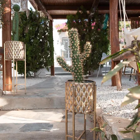 Sunrock - Jasmine Naxos City